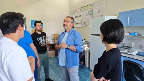 Türkiye ve Japonya'dan Kene Mücadelesi