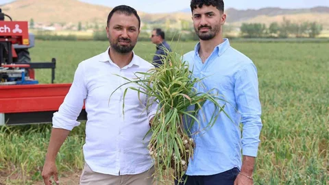 Aksaray'da İspanyol Yatırımıyla Sarımsak Üretimi Artacak