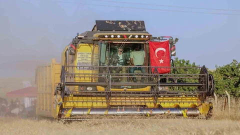 Mardin'de Buğday Ekimi Rekoru