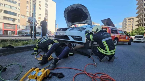 Kayseri'de Yılan İhbarı Panik Yarattı