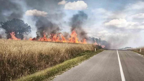 Edirne'de Üzüm Bağında Yangın