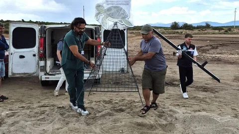 Didim'de Caretta Caretta Kurtarıldı