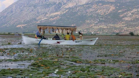 Denizli'de Nilüferler Geç Çiçek Açtı