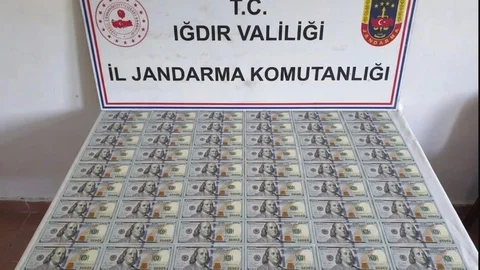 Iğdır'da Sahte Dolar Operasyonu