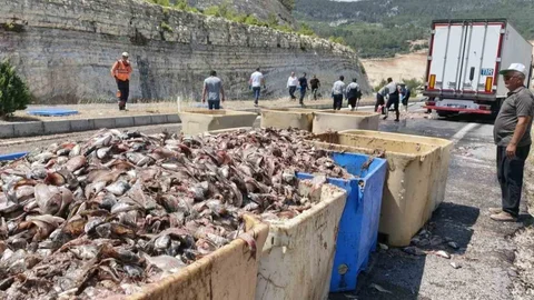 Mersin'de Tırın Dorsesi Patladı