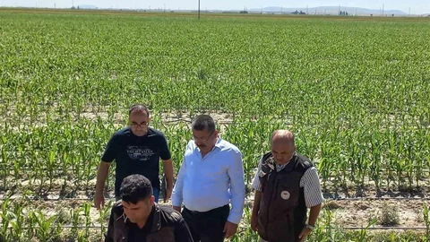 Karapınar'da Dolu İncelemesi Yapıldı