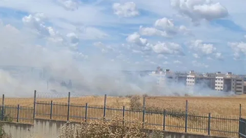 Silivri'de Otluk Alanda Yangın Çıktı