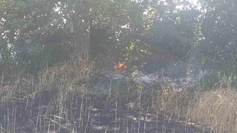 Çanakkale'de Tarla Yangını Meydana Geldi