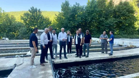 Muğla'da Alabalık Sektör Toplantısı