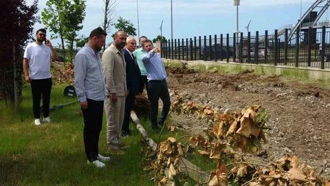 Giresun'da Mega Proje Tamamlanıyor