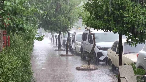 Aydın'da Kuvvetli Yağış Bekleniyor
