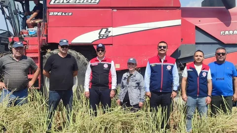 Söke'de Kanola Hasadı Yapıldı