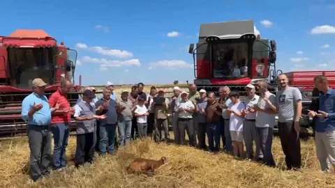 Edirne'de Buğday Hasadı Başladı