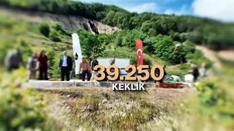 Kene ve Kokarca ile Mücadele İçin Keklik Salımı