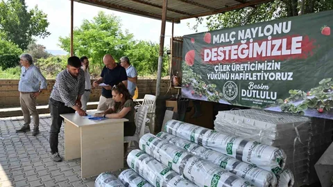 Manisa'da Çilek Üreticilerine Destek