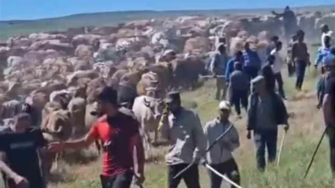Muş'ta Arazi Kavgası Yaralılar Var