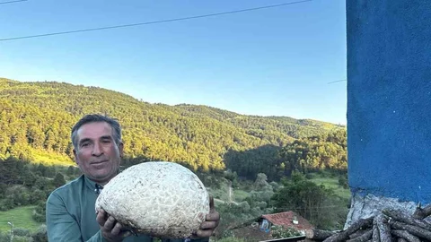 Çorum'da Dev Mantar Bulundu