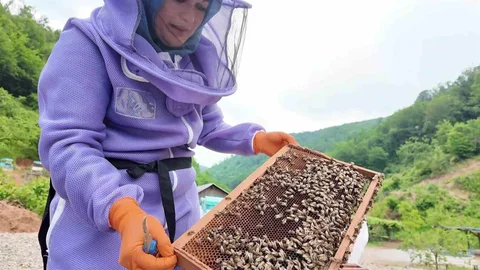Düzce'de Kadın Üreticinin Başarı Hikayesi