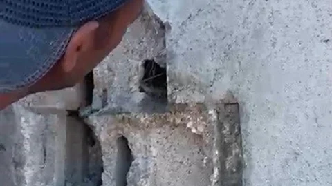 Kars'ta Kuş Yavrularını Kurtaran Usta