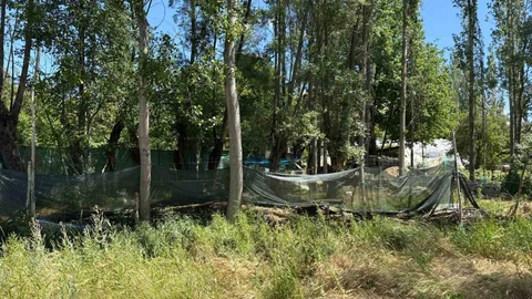Ankara'da Eş Cinayeti: Kadın Hayatını Kaybetti