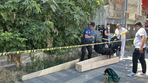 İstanbul'da Kaybolan Kediyi Ararken Ceset Bulundu