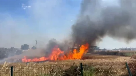 Edirne'de Buğday Tarlasındaki Yangın Kontrol Altına Alındı