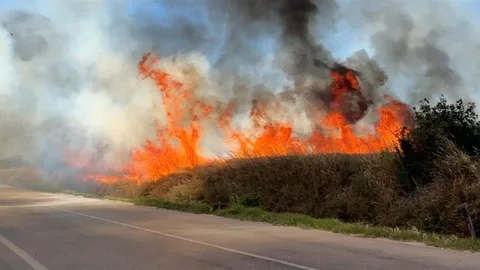 Edirne’deki Anız Yangını Kontrol Altına Alındı