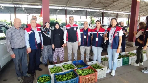 Aydın'da İncir Denetimleri Devam Ediyor