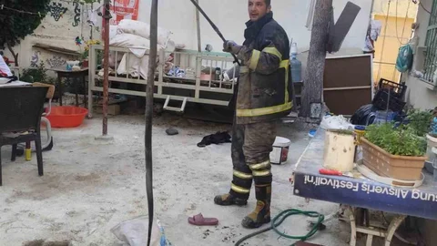Batman'da Yılan Paniği Yaşandı