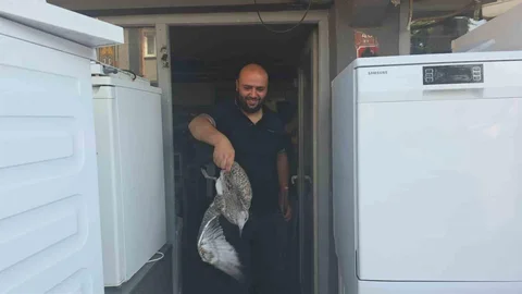 Zonguldak'ta Martı Yavrusu Tamirciyi Şaşırttı