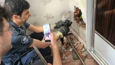 Elazığ’da Yavru Kedi Kurtarıldı
