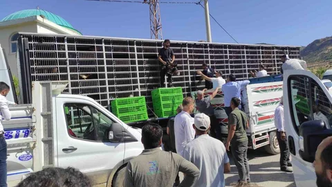 Sason'da Tavuk Dağıtımı Yapıldı