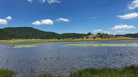 Yayla Gölü'nde Nilüferlerin Güzelliği