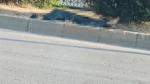 Adana'da Yaya Minibüs Çarpması Sonucu Hayatını Kaybetti