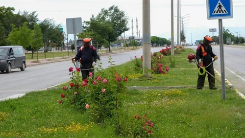 Erzincan'da Yeşil Alan Bakım Çalışmaları Devam Ediyor