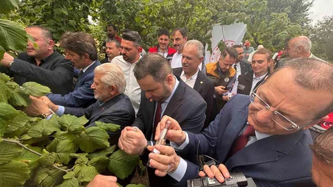 Trabzon'da Samuray Arısı Salımı Başladı