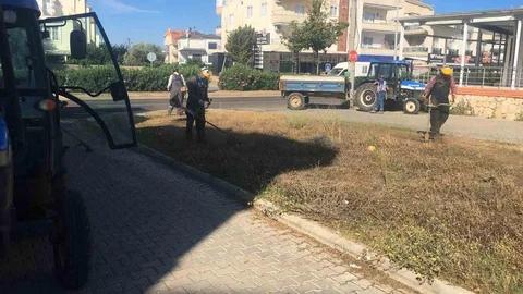 Didim'de Yeşil Alan Bakımı Devam Ediyor