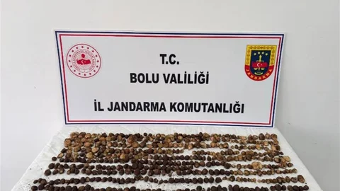 Bolu'da Yabani Salep Ceza Rekoru
