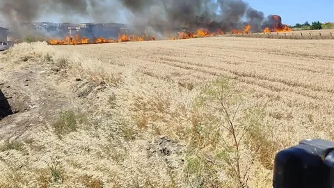 Silivri'de İki Tarla Yangını Kontrol Altına Alındı