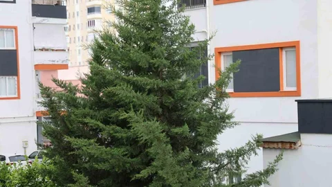 Adana'da Kuvvetli Rüzgar Etkili Oldu