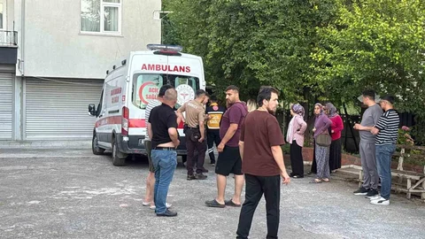 Zonguldak'ta Dut Toplarken Düştü