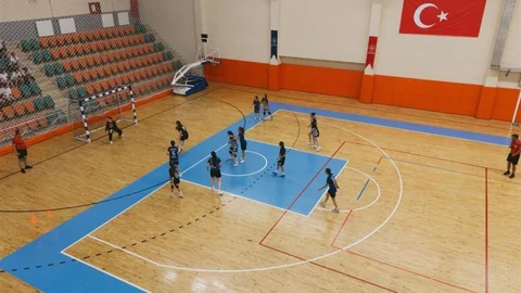 Aydın'da Minikler Hentbol Şampiyonası