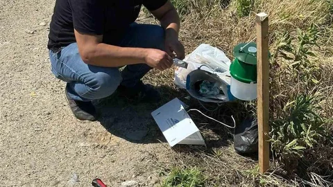 Köşk'te Pamuk Tarlalarına Monitör Tuzak Kuruldu