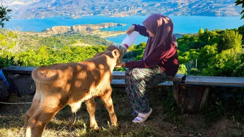 Zehra'nın Hayvan Sevgisi Sosyal Medyada Gündem Oldu