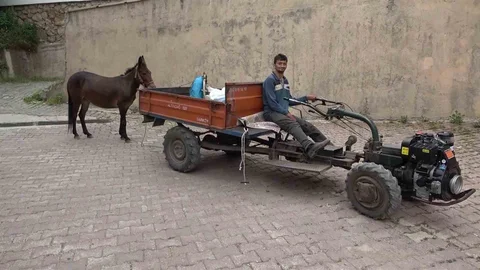 Amasya'da Engelli Gencin Katır Dostu