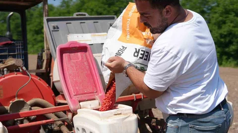 Düzce'de Ata Tohumu Projesi Gelişiyor
