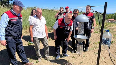 Karabük'te Safran İncelemesi Yapıldı