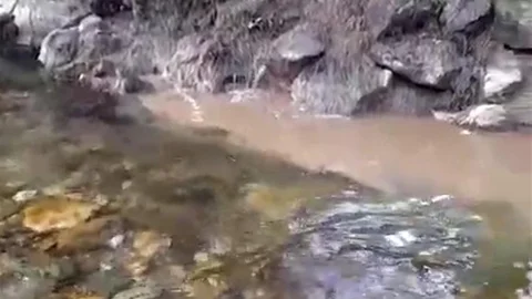Bolu'da Kanalizasyon Suları Dereye Karıştı