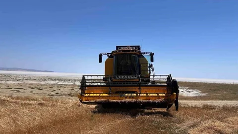 Kulu'da 2026 Arpa Hasadı Başladı