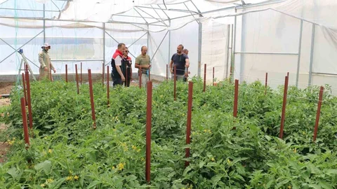 Erzincan'da Seracılık Yatırımları İle Üretim Artıyor